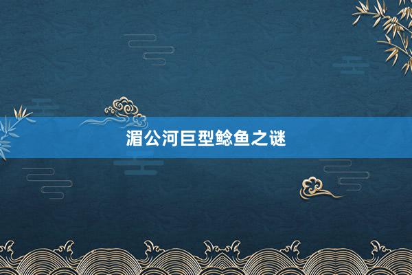 湄公河巨型鲶鱼之谜